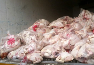 کشف و معدوم سازی ۱۶۰ کیلوگرم فرآورده‌های خام دامی فاسد در مسجدسلیمان