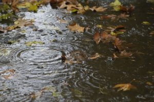 پیش بینی تداوم بارندگی و وقوع مه در خوزستان