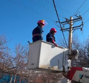 هرس بیش از ۱۲ هزار اصله درخت متداخل با شبکه برق در اهواز