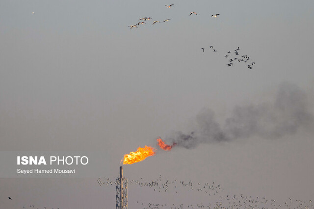 یک فلر در خوزستان خاموش شود، ۱۰ فلر دیگر روشن میشود یک فلر در خوزستان خاموش شود، ۱۰ فلر دیگر روشن میشود