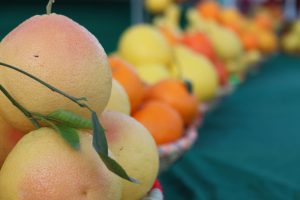 مرکبات دزفول؛ برند ملی که در انتظار درخشش جهانی است