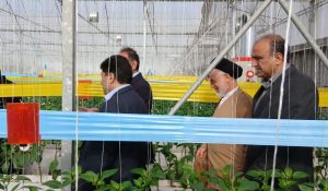 رییس جهاد کشاورزی خوزستان: الگوی کشت جدید با مشارکت دانشگاه‌ها تدوین شد