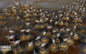 «بندون» و «میانگران» میراث طبیعی ایذه هستند